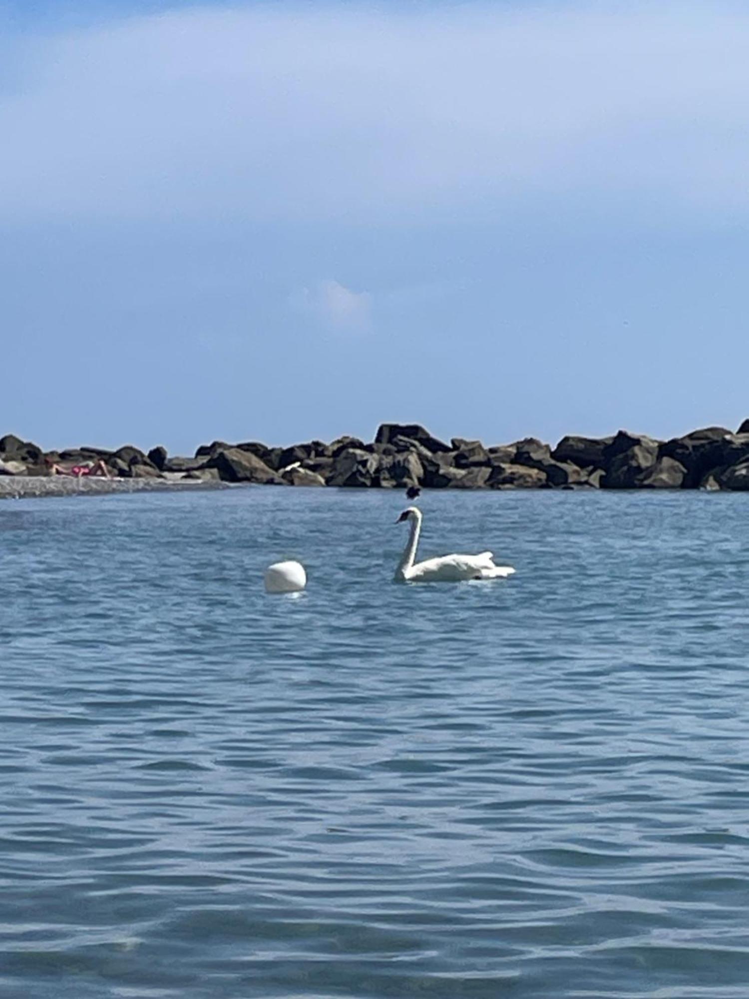 Casa Aiga Marina Apartman Ventimiglia Kültér fotó